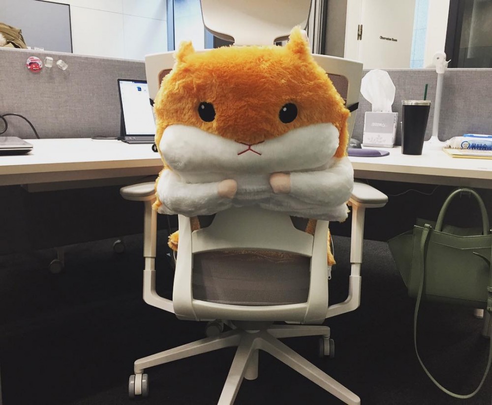 52365815_319991181988137_2026593109872006447_n