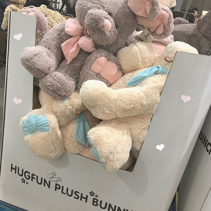 52566045_427082578037473_3132012401252674190_n