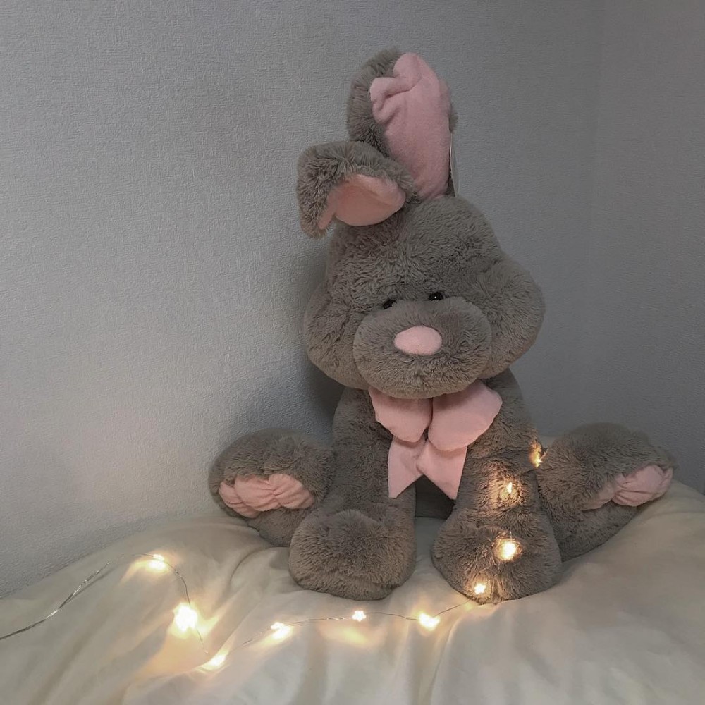 52774568_583943552095337_6407568057043677744_n