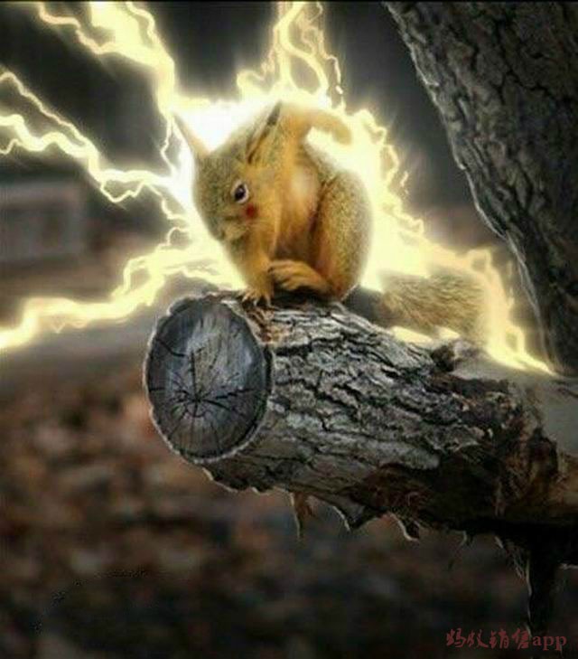 540d04904d894acda4802147c1172927_th