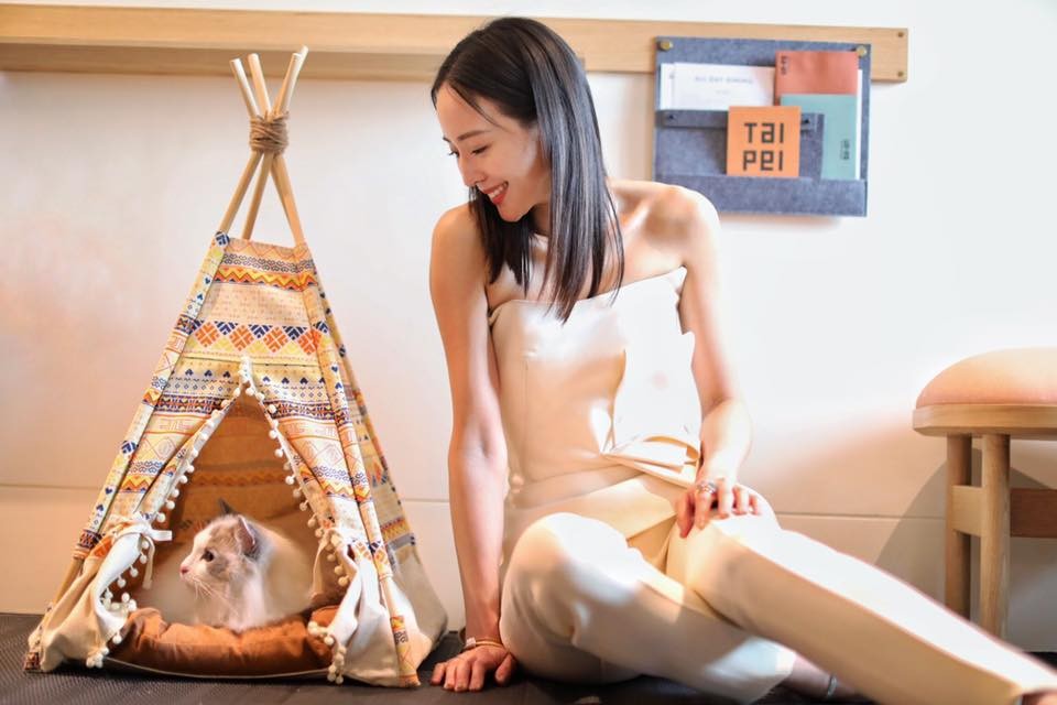 55957825_2547831355232395_5657456588739313664_n