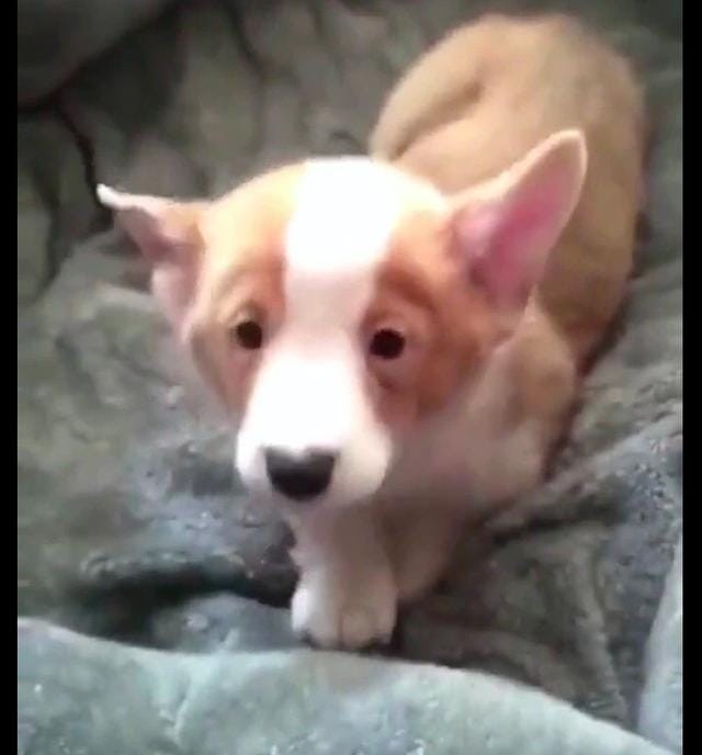 57503742_10210905834802058_5675192832281804800_n