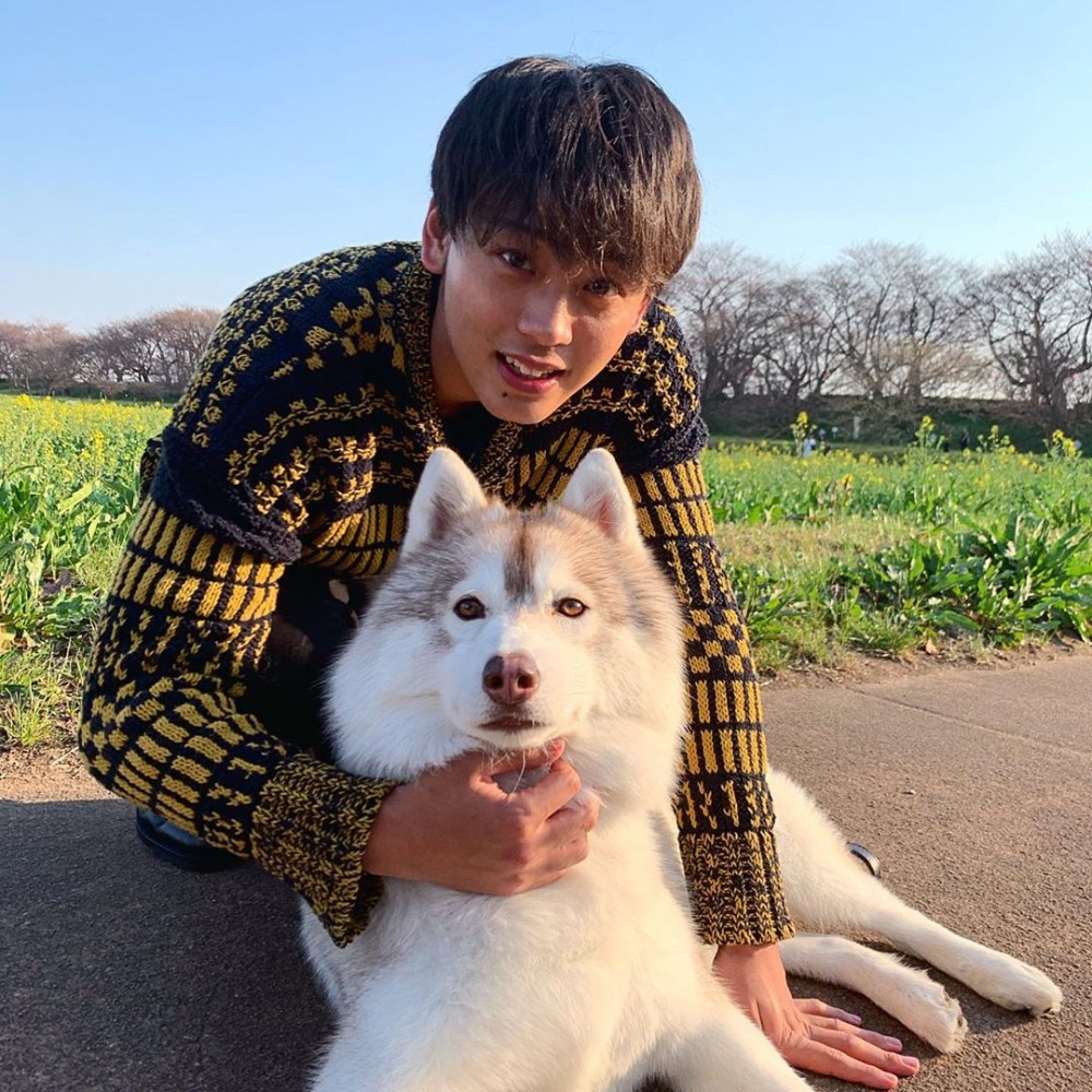 58679516_420605202105315_6728800418832509695_n