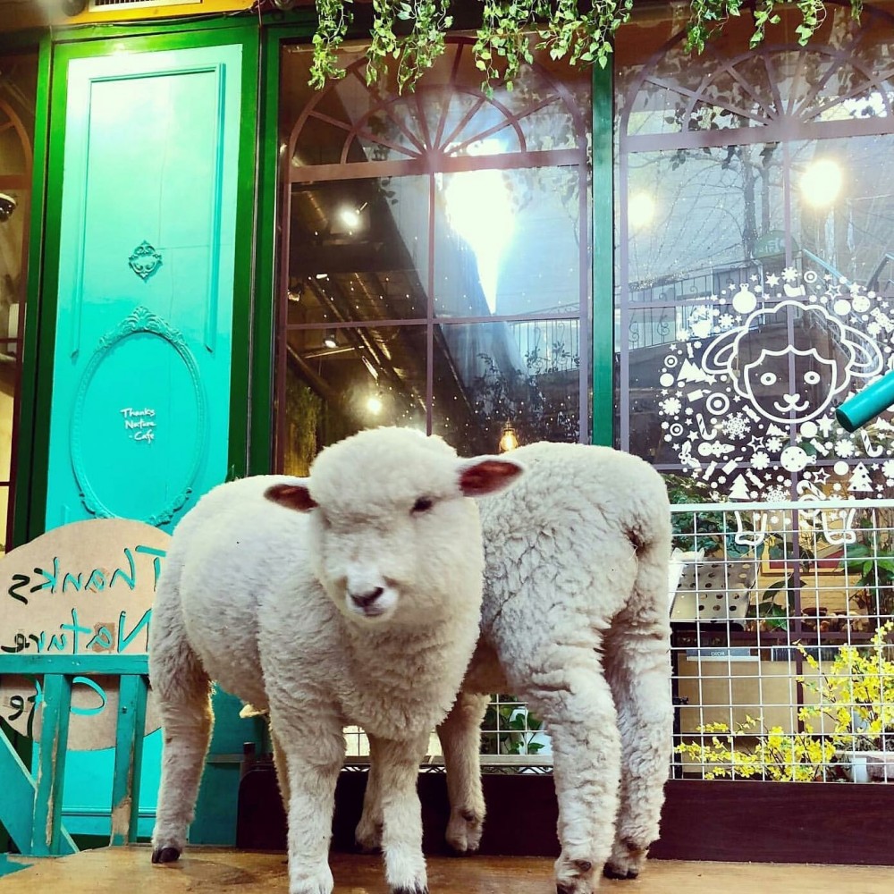 60338447_2449226378430016_635190860958400512_o