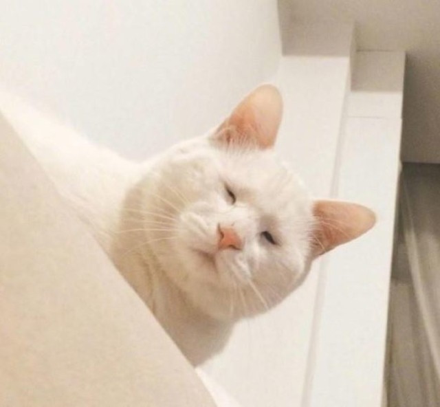 640x_0518dcf7aa7ed3f57a5ef1fcd15de8c7