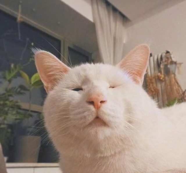 640x_74932025343eb370b56a7606e8a3eee8