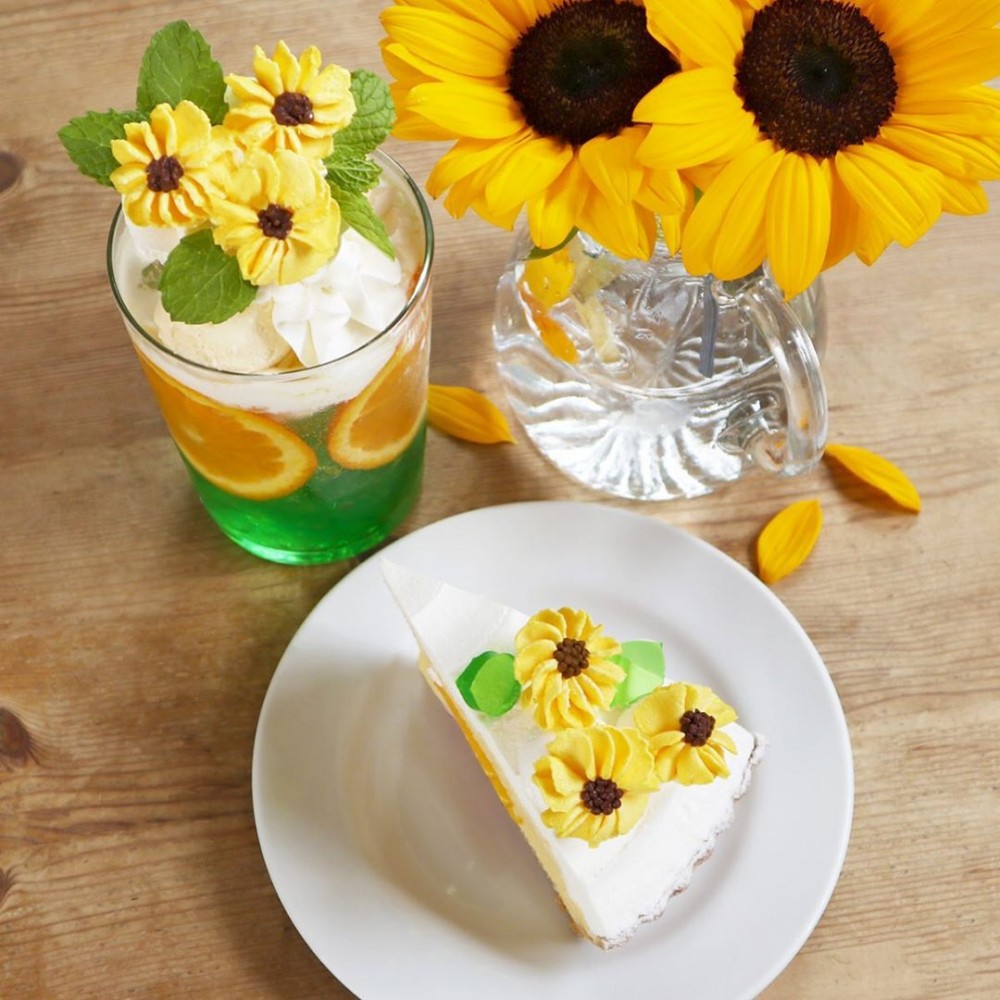 65293161_418836745370431_8521944540036308921_n