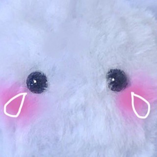 67386344_163118391502224_6784751908104288032_n