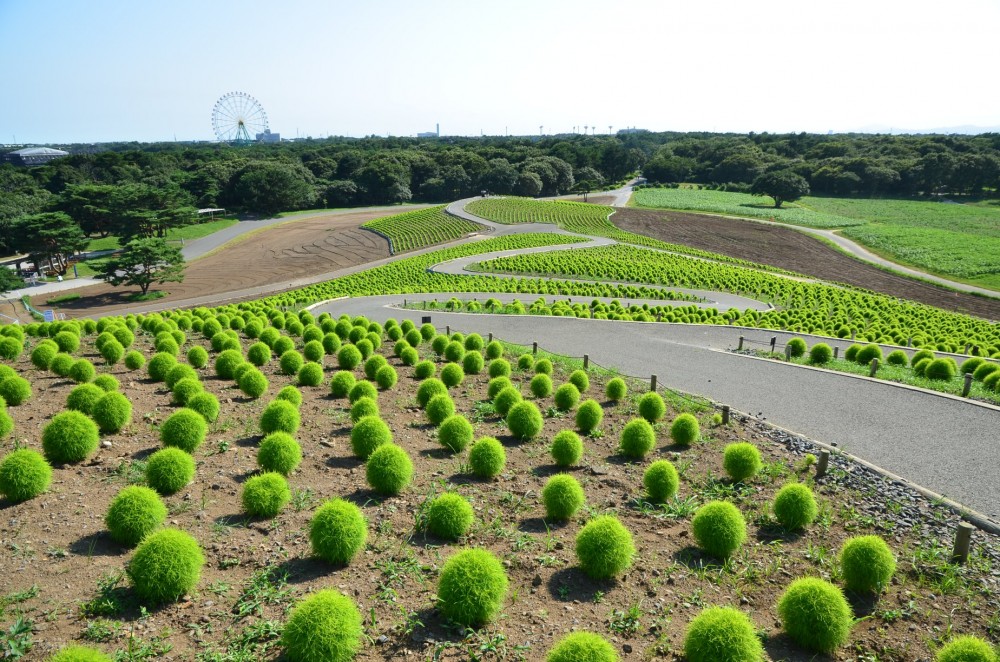 67571377_2684841234882897_5626567381514977280_o