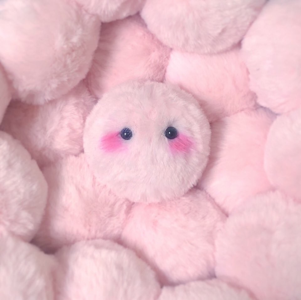 67799243_424510388168197_4404839830581494326_n