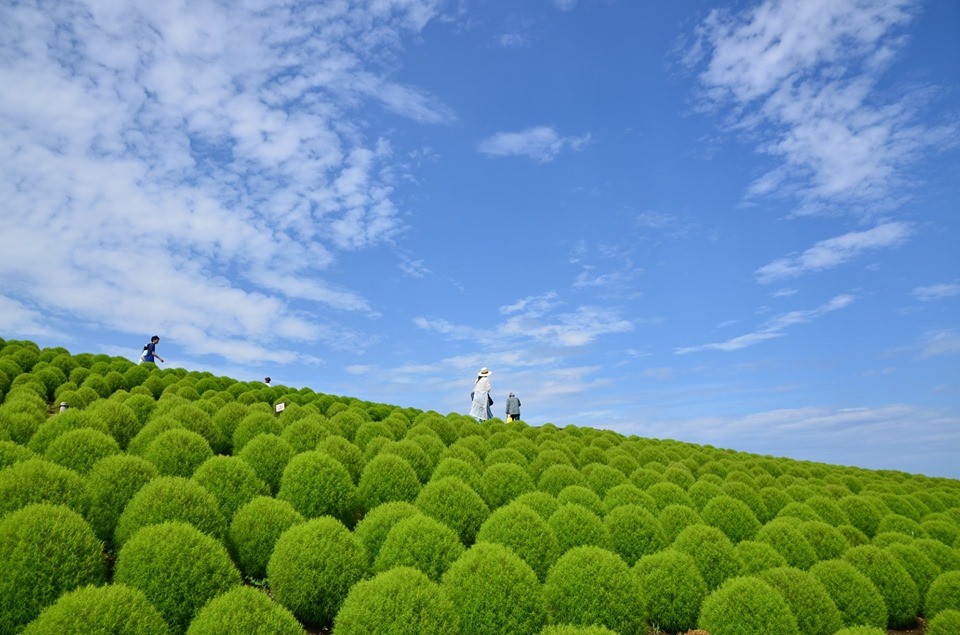 69085707_2730894980277522_6409956286590353408_n