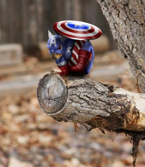 6d77c98863751d2748a380ede610fe8a