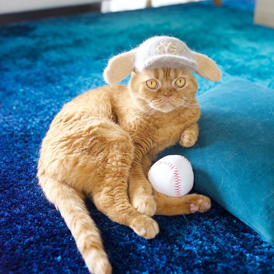 70308763_1111226865753141_4546253441508311040_n