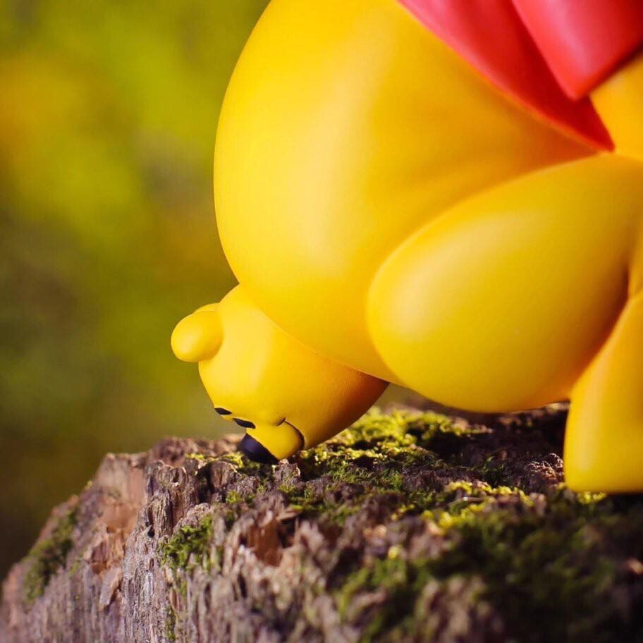 70399760_543529856189025_340529638864322560_n