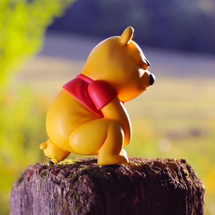 70461936_543529826189028_5268435287339433984_n