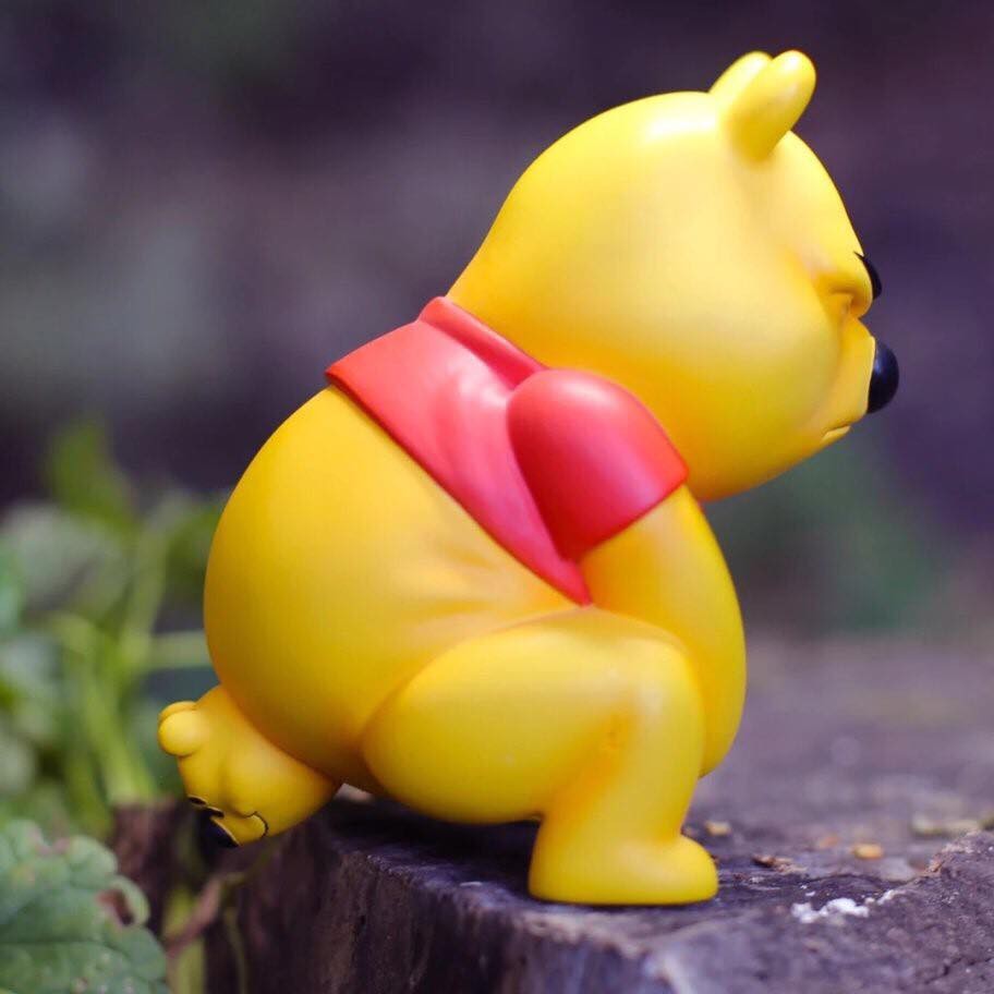 70494958_543529916189019_5184984184447303680_n