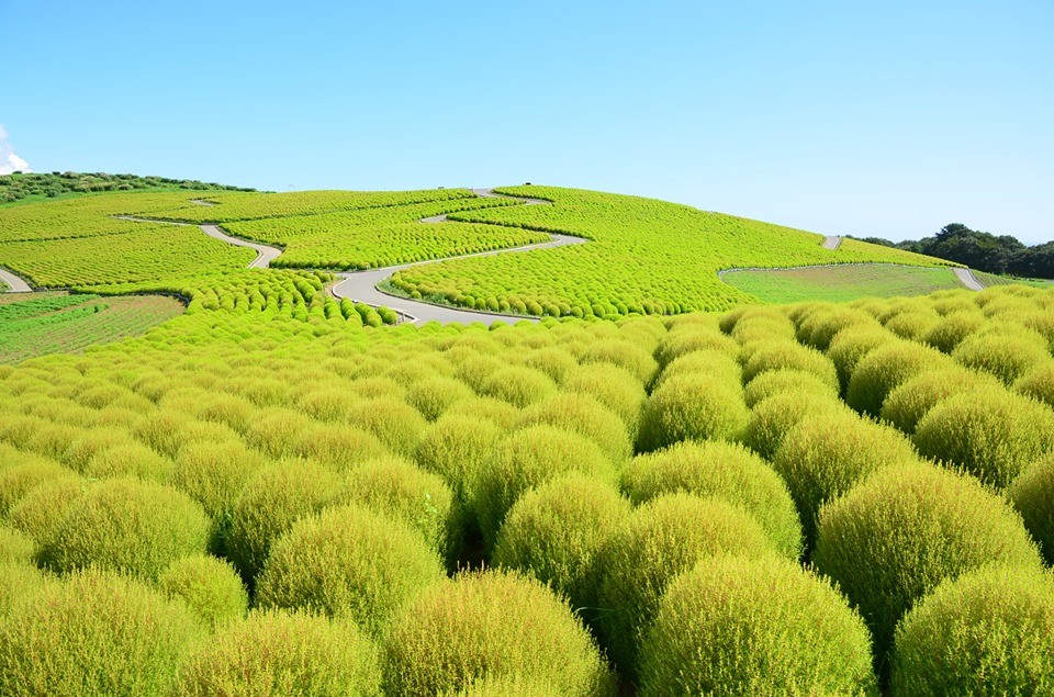 70557453_2749240351776318_2641377523803357184_n