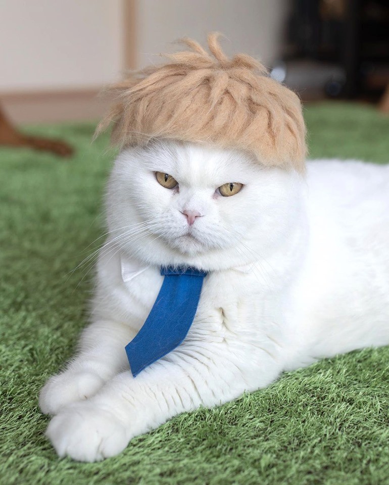 71018920_1111226859086475_4603138904659329024_n