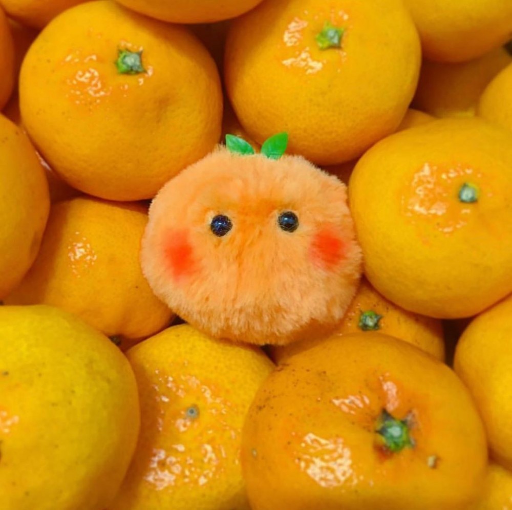 71140814_120853915958998_8413281743147575659_n