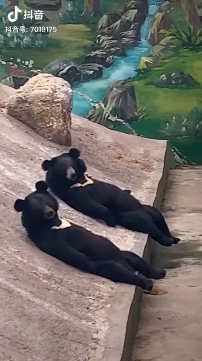 ScreenShot-VideoID-Vl52Y718Mms-TimeS-2