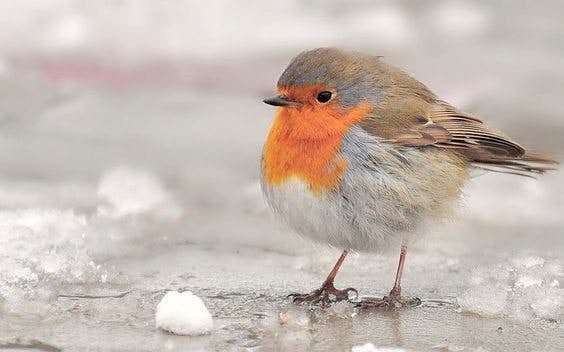 a30cb7109a6d7575376a3a596d268474