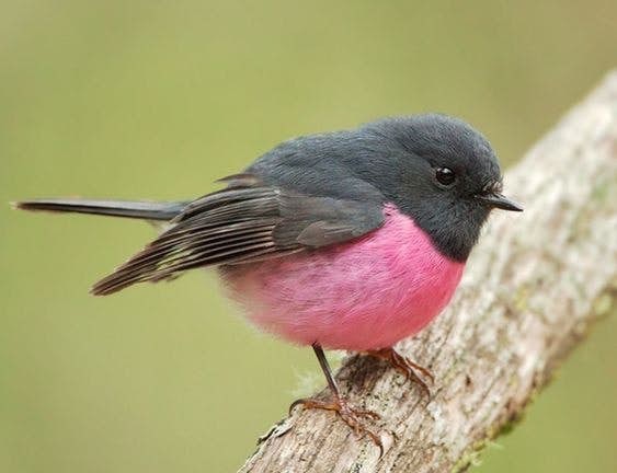 a3e3e0ed725ae390621fc4744a569fa4