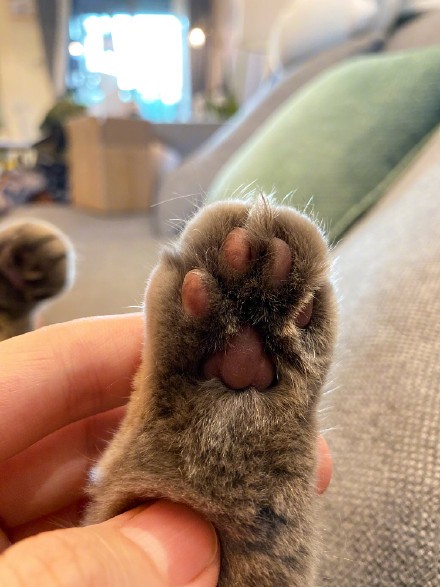 bfc243a3gy1g7aqbhfxfbj215o1jkhdv