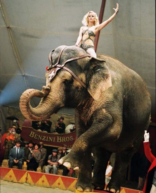 d1d8b3d8951a04efa9ee466f5aeaabe6