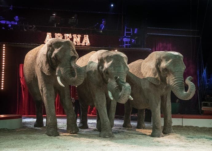 dnyky243u21yz8nhumlz