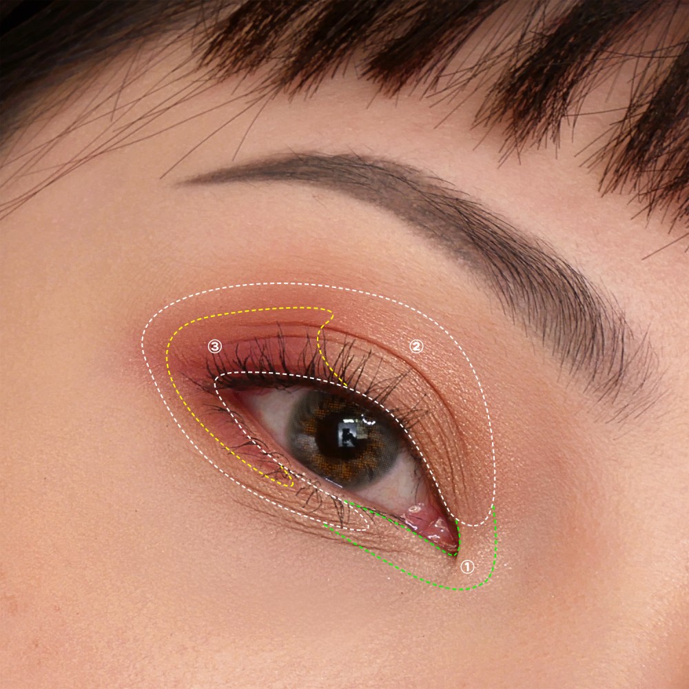 eye_零失手快速妝(加虛線)