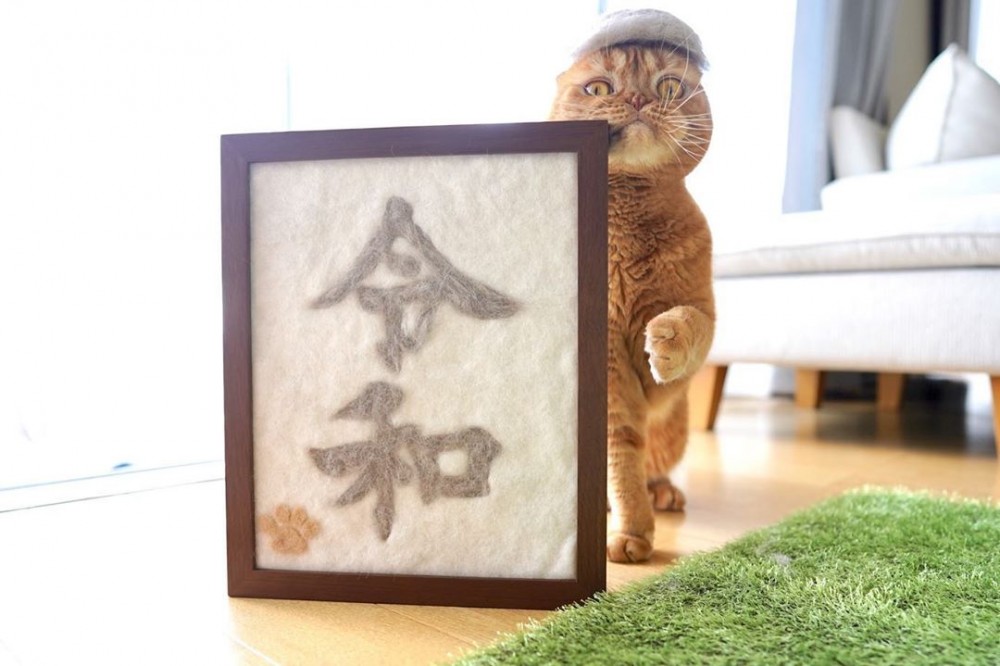 rojiman_65303648_129592748269331_3127244741242008467_n