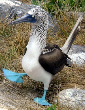 tumblr_mht45ezpLB1s3lktlo4_r1_400