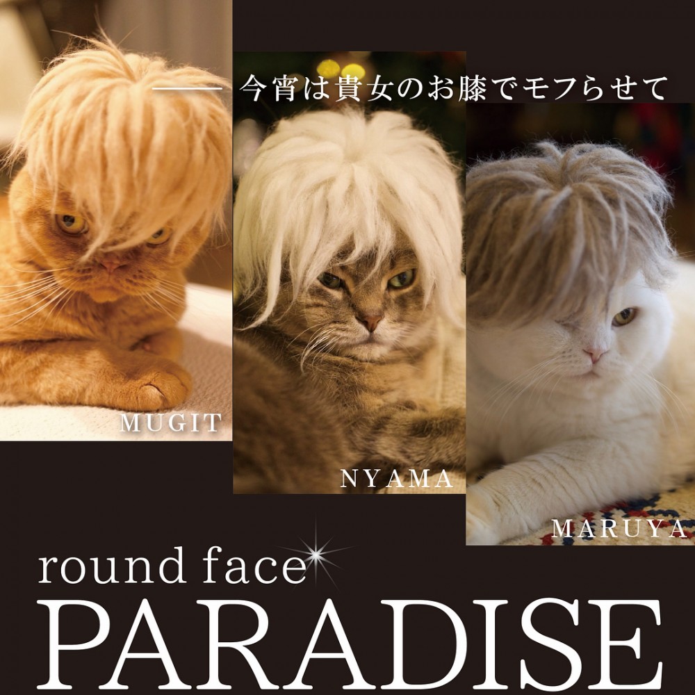 umatan_24127133_132123980806786_4713950259192004608_n