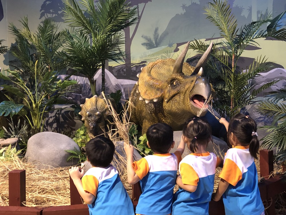 三角龍家庭餵食體驗