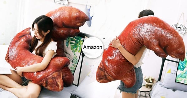 訓練定力！亞馬遜購物網推出「豬腳懶骨頭抱枕」引熱議：看了好想吃滷肉飯