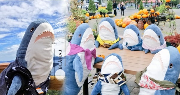 推特瘋傳！IKEA「鯊魚一家六口」抱枕娃娃大爆紅～野餐、曬日光浴通通超療癒