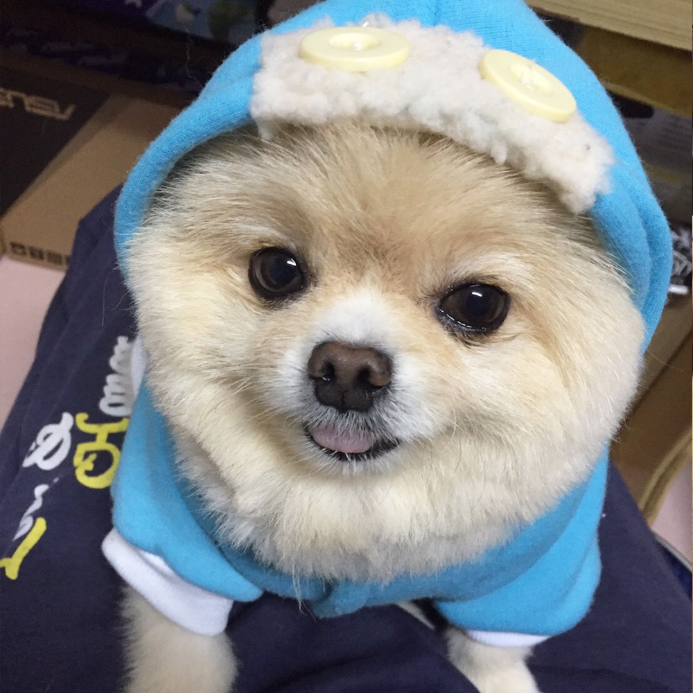 GirlStyleTW