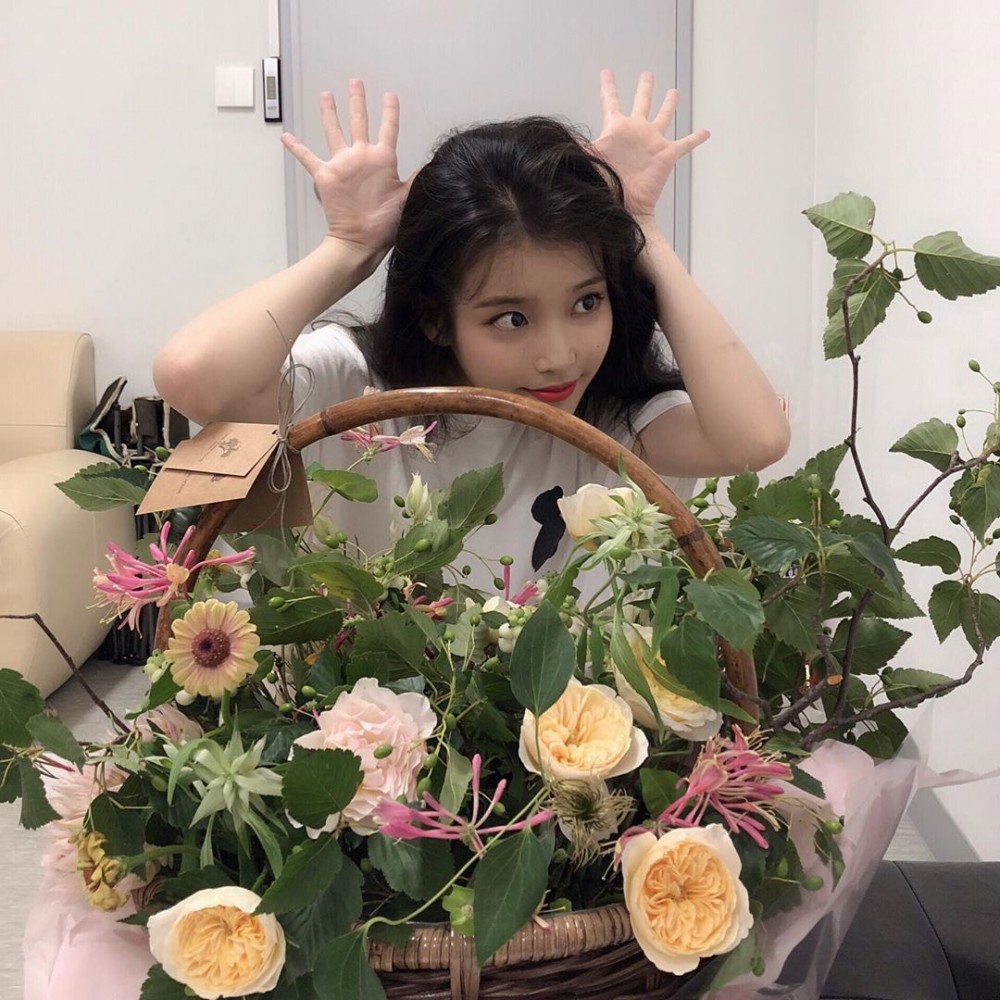 IG@dlwlrma