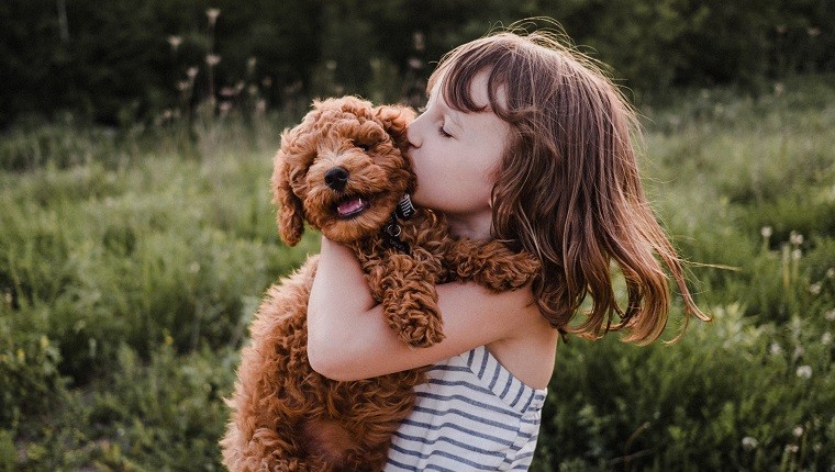 dogtime
