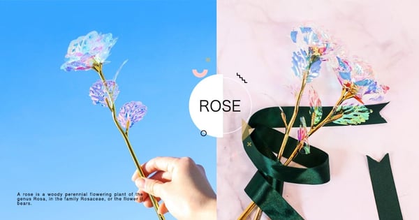 讓你們的愛永不凋零！韓妞正夯超閃耀「冰晶玫瑰花」～絕美彩虹炫光讓女孩直呼：「美翻啦！」