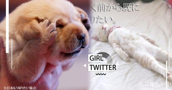 「假期結束了，我的心也跟著假期一起死去。」日本想回家協會推特爆紅～厭世不想上班全語錄！