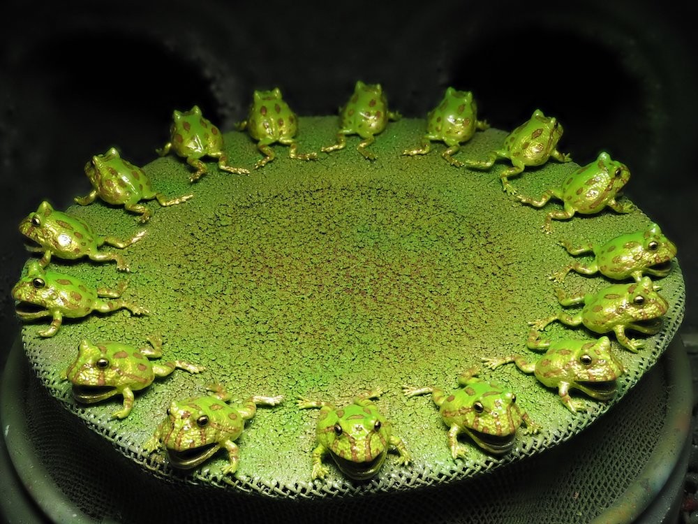 Twitter@ninaendlesseive