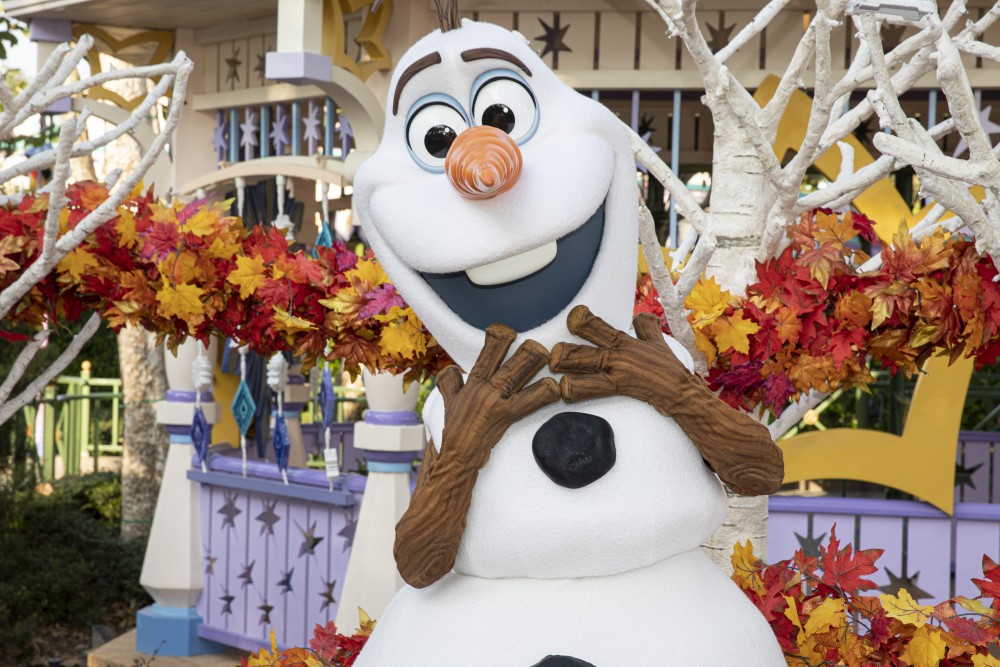 夢幻花園魔雪奇緣小鎮