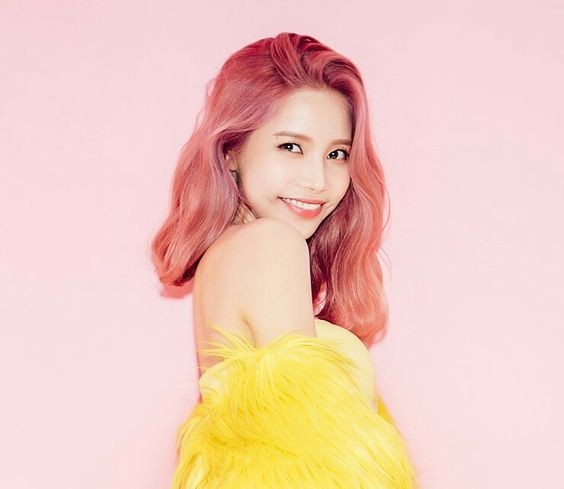 pinterest@Jelo Fauni