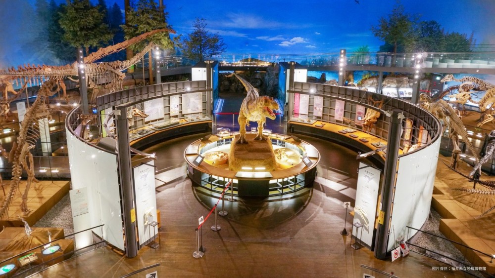 Facebook @超大恐龍展