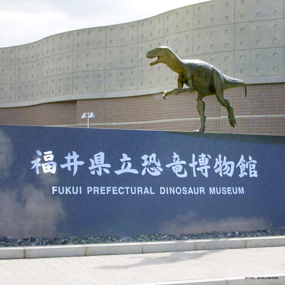 Facebook @超大恐龍展
