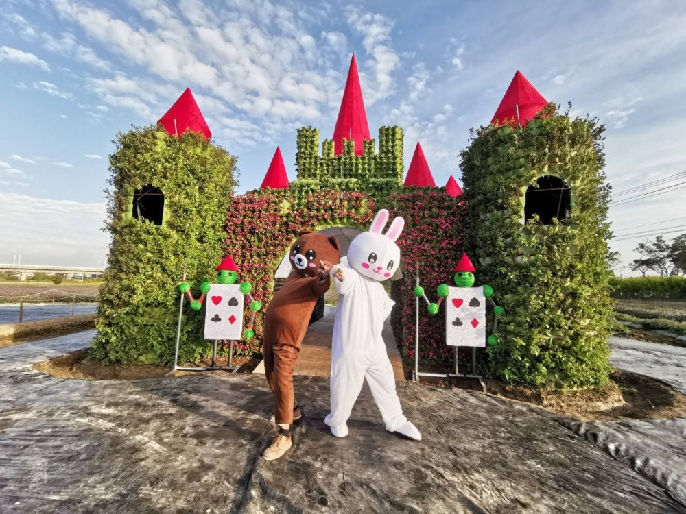 FB @楊梅休閒農業區-2019桃園仙草花節