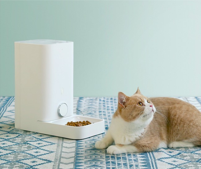 寵物自動餵食器