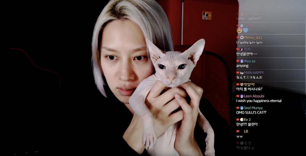 Youtube@김희철 KimHeeChul