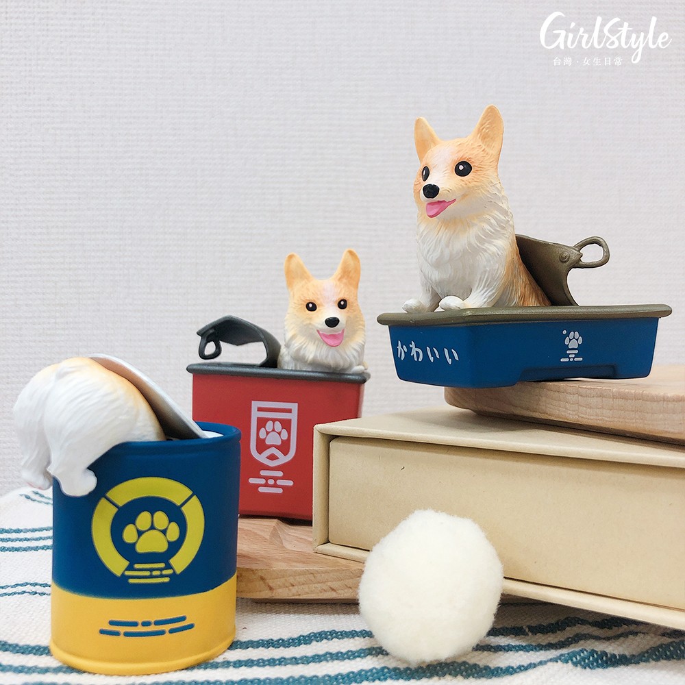 扭蛋柯基